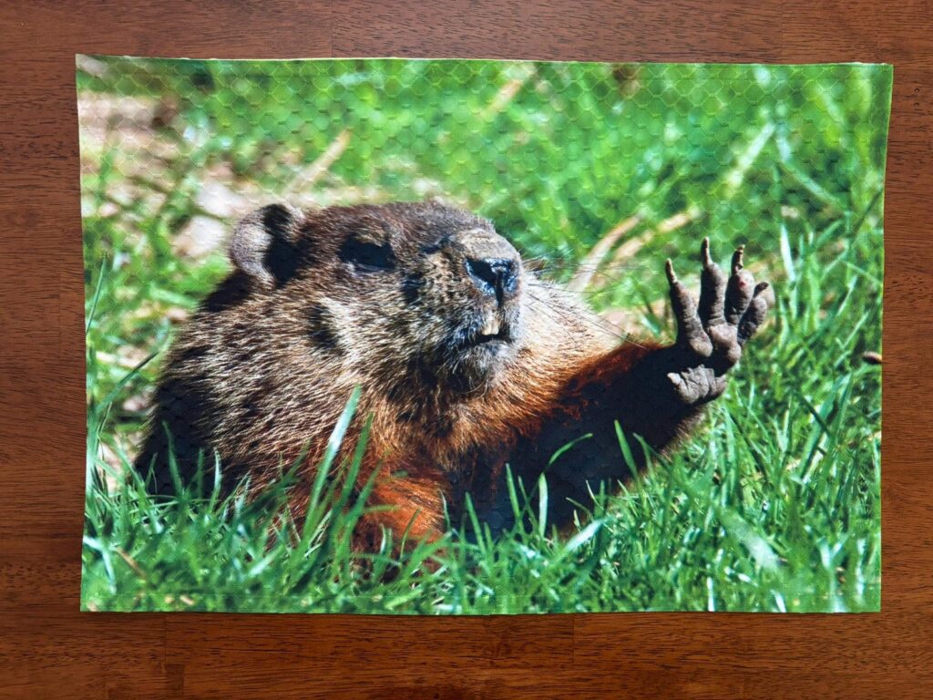 Groundhog Placemat
