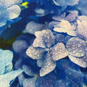 Blue Hydrangea Placemat for Your Dining Room Table Machine Washable Tumble Dry Unique Upscale Dining Room Decor