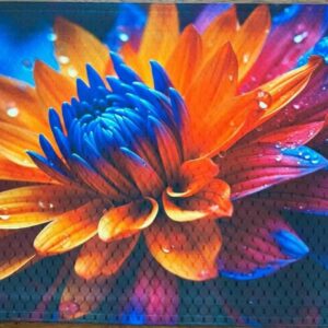 Orange Blue Purple Flower Placemat for Your Dining Room Table Machine Washable Tumble Dry Upscale Dining Decor That Pops