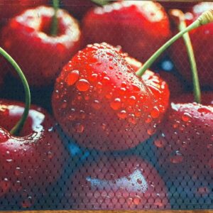 Red Cherries Placemat Machine Washable Tumble Dry Upscale Dining Room Decor