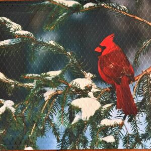 Cardinal on Snowy Winter Pine Branch Placemat