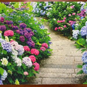 Blue Pink White Purple Hydrangeas Placemat - Machine Washable Tumble Dry Upscale Dining Room Decor