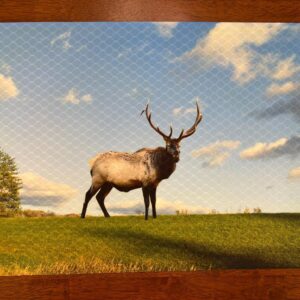 Elk on Grass Field with Blue Sky Placemat - Wildlife Game - Machine Washable Tumble Dry - Nature Lover's Dining Decor