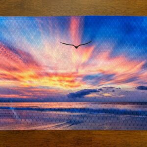 Seagull Flying Over Ocean Beach Sunset Placemat Machine Washable Tumble Dry Upscale Dining Room Decor