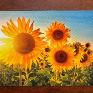 Sunflowers in Bright Sunlight Placemat - Sunflowers Field - Machine Washable Tumble Dry