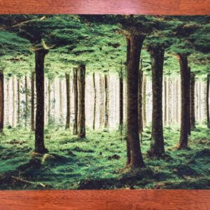 Surreal Forest Mirrored Placemat - Nature Surreal - Machine Washable Tumble Dry - Unique Green Dining Decor