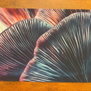 Mushroom Gills Macro Placemat - Mushroom Nature - Machine Washable Tumble Dry - Unique Fresh Food Dining Decor